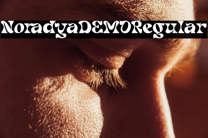 Noradya DEMO Regular Example 2