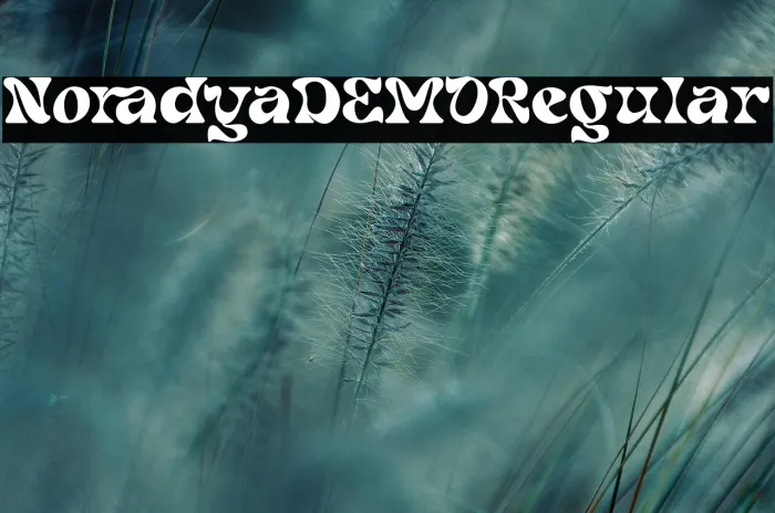 Noradya DEMO Regular Example 3