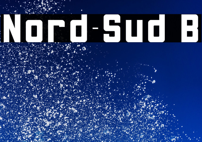 Nord-Sud B Example 2