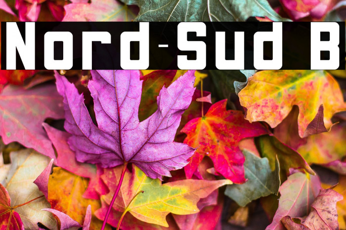 Nord-Sud B Example 3