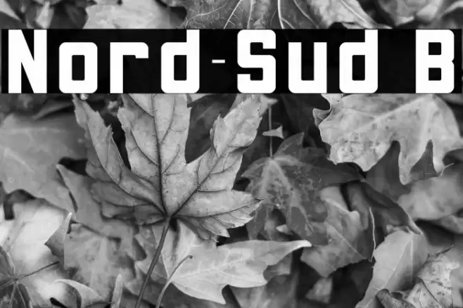 Nord-Sud B Font examples