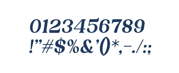 Nordhin Italic Other Characters