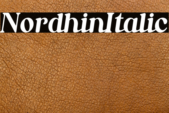 Nordhin Italic Example 1