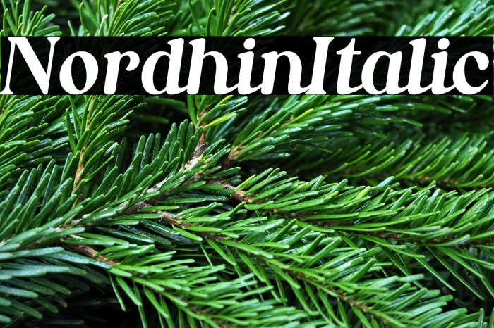 Nordhin Italic Example 2