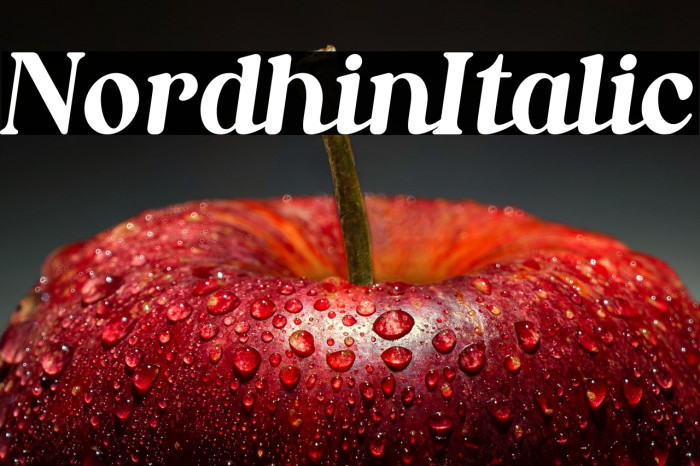 Nordhin Italic Example 3