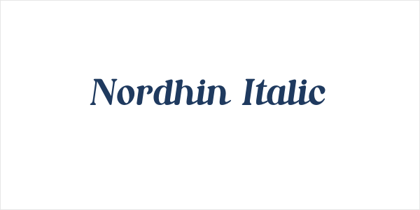 Nordhin Italic Logo