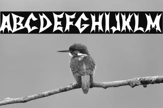 Nordic Metal Band Example 1