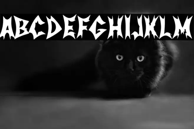 Nordic Metal Band Example 3