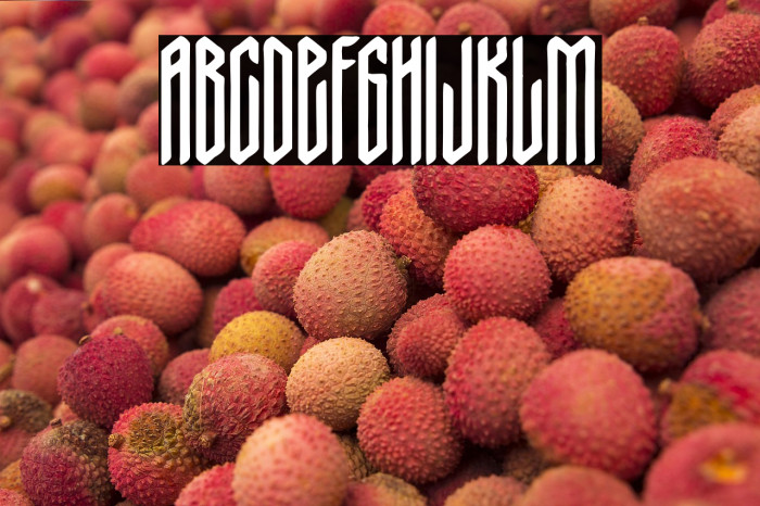 Nordic Thunder Example 2