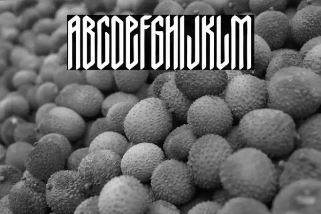 Nordic Thunder Font examples