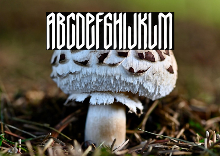 Nordic Thunder Example 3