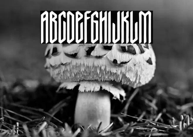 Nordic Thunder Font examples