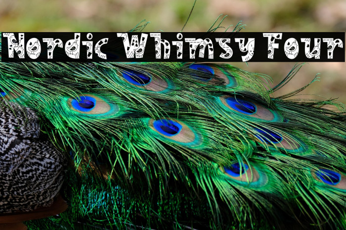 Nordic Whimsy Four Example 1