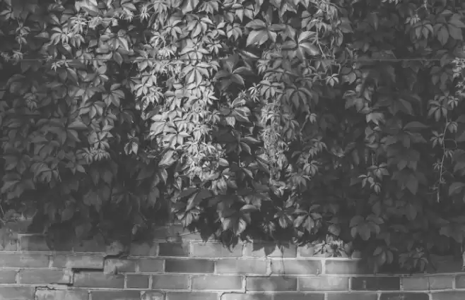 Nordica Advanced Regular Oblique Font examples