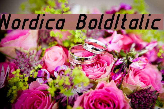Nordica BoldItalic Font examples