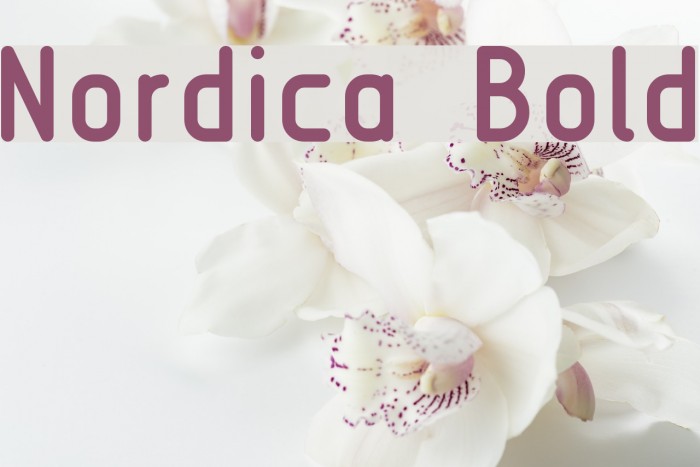 Nordica Bold Font examples