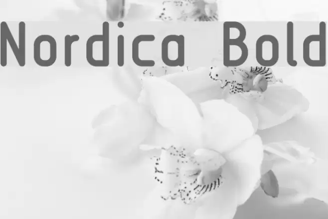 Nordica  Bold  examples