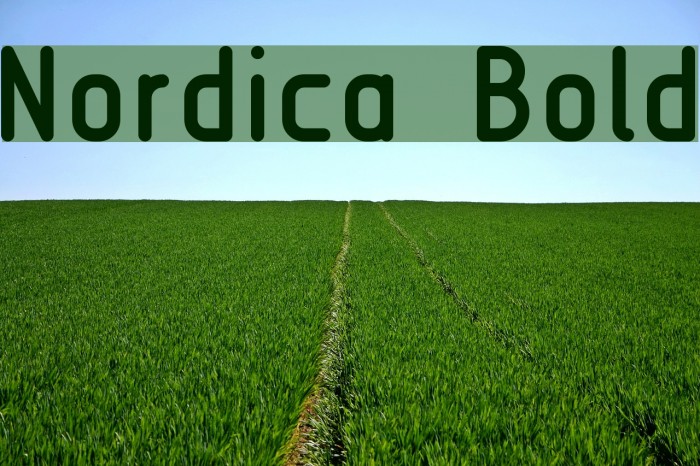 Nordica Bold Font examples
