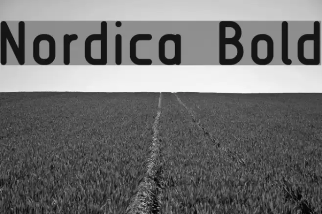 Nordica  Bold  examples