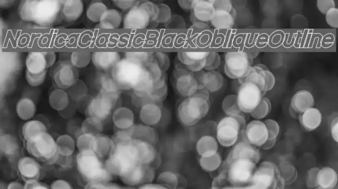 Nordica Classic Black Oblique Outline  examples