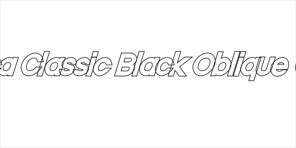 Nordica Classic Black Oblique Outline Logo