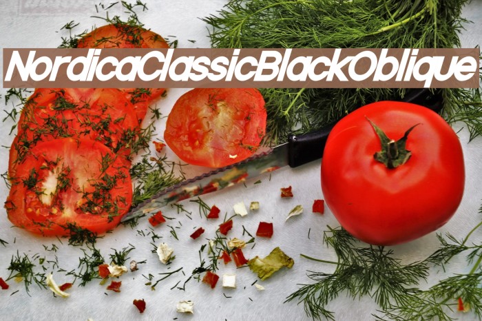 Nordica Classic Black Oblique Font examples