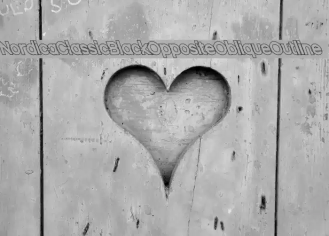 Nordica Classic Black Opposite Oblique Outline  examples