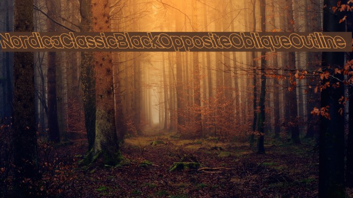 Nordica Classic Black Opposite Oblique Outline Font examples