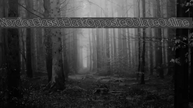 Nordica Classic Black Opposite Oblique Outline  examples