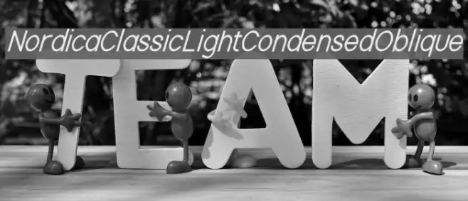Nordica Classic Light Condensed Oblique Example 2