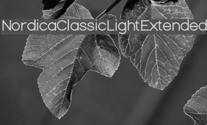 Nordica Classic Light Extended Font examples
