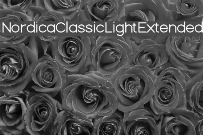 Nordica Classic Light Extended Font examples
