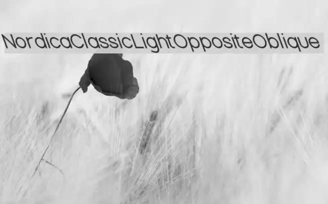 Nordica Classic Light Opposite Oblique Font examples