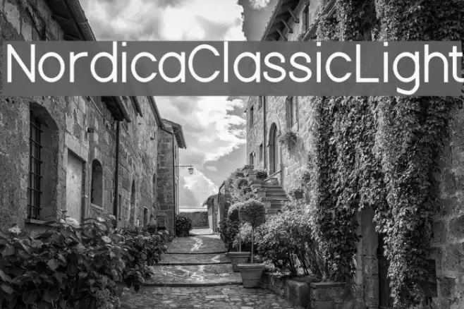 Nordica Classic Light Font examples