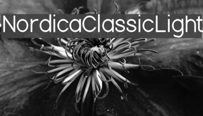 Nordica Classic Light Font examples