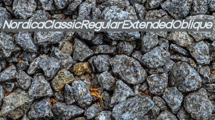 Nordica Classic Regular Extended Oblique Font examples