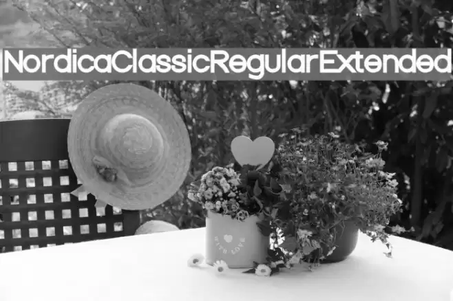 Nordica Classic Regular Extended Font examples