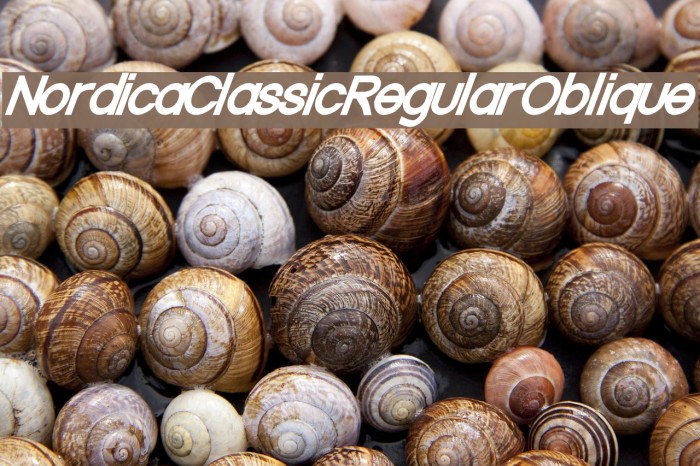 Nordica Classic Regular Oblique Example 1