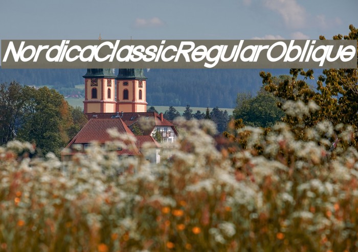 Nordica Classic Regular Oblique Example 2