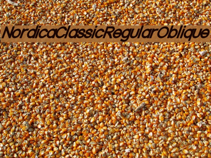 Nordica Classic Regular Oblique Example 3