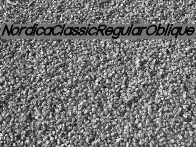 Nordica Classic Regular Oblique Font examples