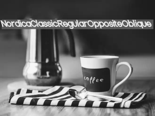 Nordica Classic Regular Opposite Oblique Font examples
