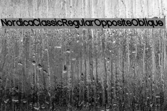 Nordica Classic Regular Opposite Oblique Font examples