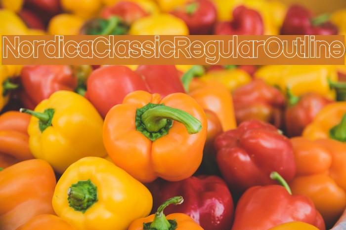 Nordica Classic Regular Outline Font examples