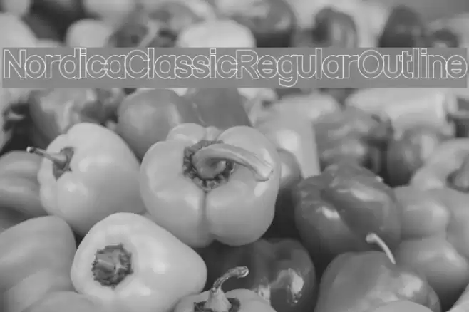 Nordica Classic Regular Outline  examples