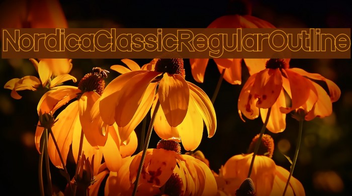 Nordica Classic Regular Outline Font examples