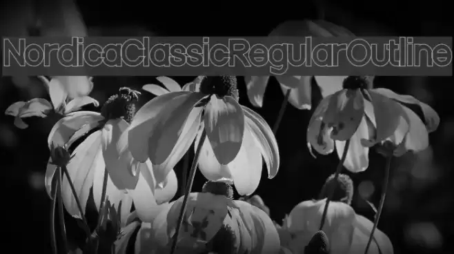 Nordica Classic Regular Outline  examples