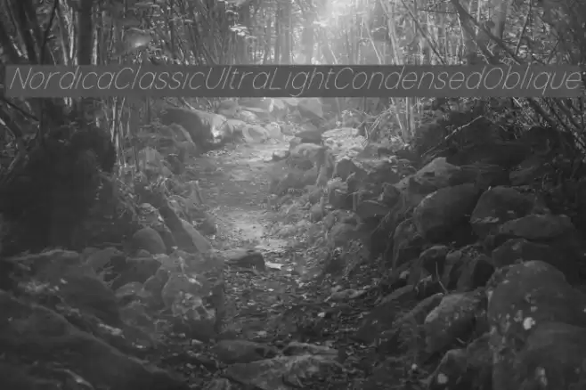 Nordica Classic Ultra Light Condensed Oblique Font examples