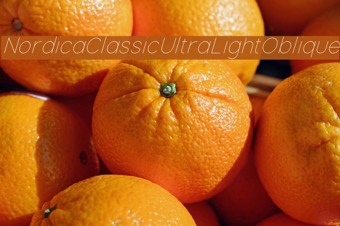 Nordica Classic Ultra Light Oblique Font examples