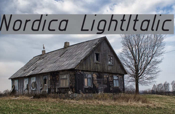 Nordica LightItalic Font examples